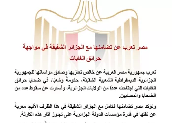 L’Égypte exprime sa solidarité avec l’Algérie face aux incendies de forêt 4 - Le Progrès Egyptien L’Égypte exprime sa solidarité avec l’Algérie face aux incendies de forêt