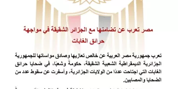 L’Égypte exprime sa solidarité avec l’Algérie face aux incendies de forêt
