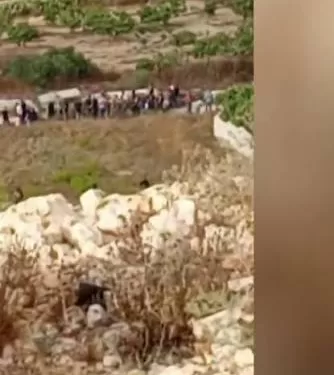 Quatre Israéliens blessés à Havat Gilad 1 - Le Progrès Egyptien