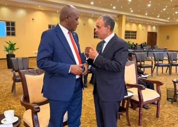Le ministre des Affaires étrangères rencontre le vice-président du Burundi et le ministre de l’Intérieur de Djibouti 3 - Le Progrès Egyptien Le ministre des Affaires étrangères rencontre le vice-président du Burundi et le ministre de l’Intérieur de Djibouti