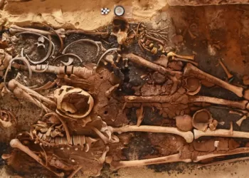 Découverte de 18 tombes antiques à Marina Alamein