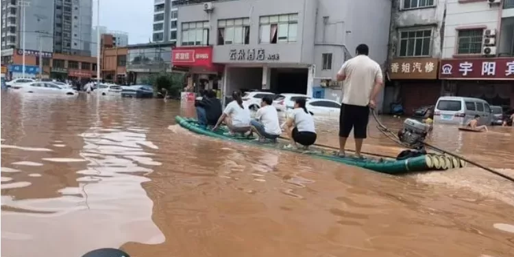Inondations en Chine : Près de 900 serpents venimeux s’échappent 2 - Le Progrès Egyptien Inondations en Chine : Près de 900 serpents venimeux s’échappent 1 - Le Progrès Egyptien