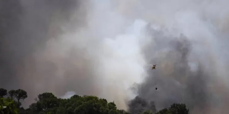 Un feu de forêt fait au moins 11 morts près d'Almeria, dans le sud de l'Espagne 1 - Le Progrès Egyptien