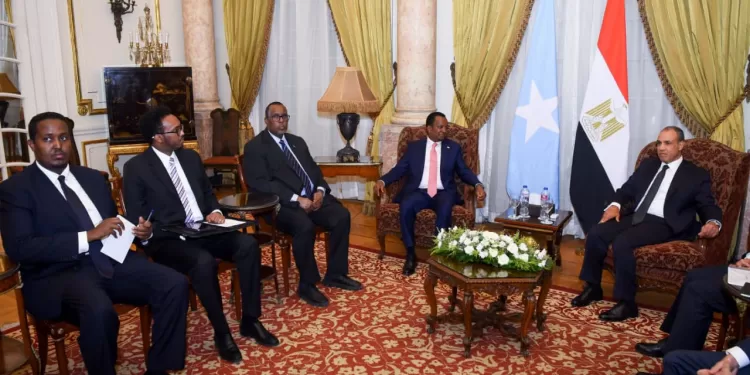 L'Egypte réaffirme son soutien à la souveraineté de la Somalie et condamne les initiatives du Somaliland 2 - Le Progrès Egyptien L'Egypte réaffirme son soutien à la souveraineté de la Somalie et condamne les initiatives du Somaliland 1 - Le Progrès Egyptien