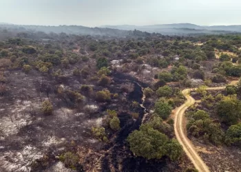 Le Premier ministre espagnol: La priorité est de sauver des vies face aux incendies