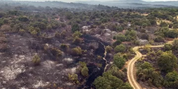 Le Premier ministre espagnol: La priorité est de sauver des vies face aux incendies