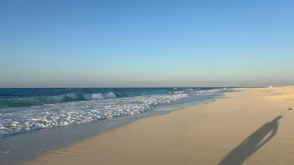 L’Egypte réinvente ses vacances d’été 44 - Le Progrès Egyptien L’Egypte réinvente ses vacances d’été 43 - Le Progrès Egyptien