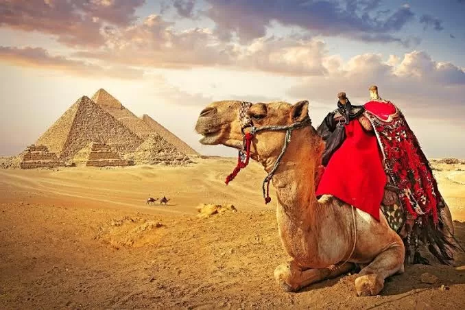 Le tourisme voit grand 4 - Le Progrès Egyptien Le tourisme voit grand 3 - Le Progrès Egyptien