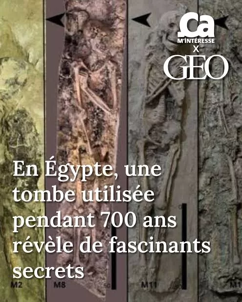 Les curiosités qui ont fait le tour du web 3 - Le Progrès Egyptien