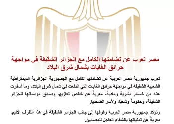 Incendies en Algérie : l’Égypte exprime sa pleine solidarité avec le peuple algérien
