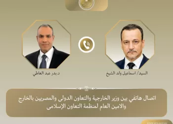 L’Égypte réaffirme son soutien à l’Organisation de la coopération islamique