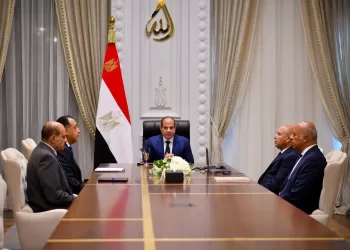 Al-Sissi accélère les grands projets de transport 3 - Le Progrès Egyptien Al-Sissi accélère les grands projets de transport