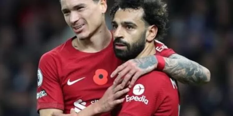 Nunez et Salah réunis à Trabzonspor : un transfert marquant 2 - Le Progrès Egyptien Nunez et Salah réunis à Trabzonspor : un transfert marquant 1 - Le Progrès Egyptien