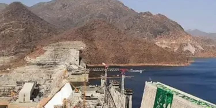 Le ministre éthiopien de l’Eau : « Le débit du Nil vers les pays en aval sera sous notre contrôle » 2 - Le Progrès Egyptien Le ministre éthiopien de l’Eau : « Le débit du Nil vers les pays en aval sera sous notre contrôle » 1 - Le Progrès Egyptien