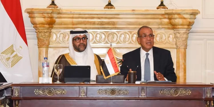 Le ministre des Affaires étrangères réunit le secteur privé pour renforcer l’expansion en Afrique 1 - Le Progrès Egyptien