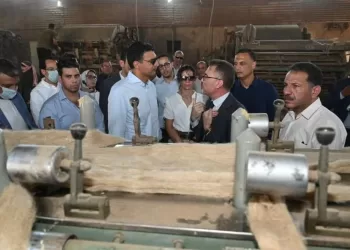 Le lin égyptien, un atout pour accroître les exportations 4 - Le Progrès Egyptien Le lin égyptien, un atout pour accroître les exportations