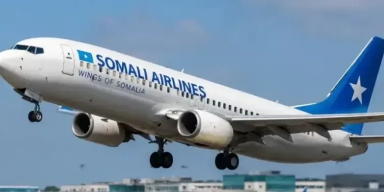 Les Somali Airlines reprennent leurs activités 1 - Le Progrès Egyptien