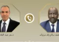 Égypte–Mauritanie : Le Caire et Nouakchott renforcent leur coopération