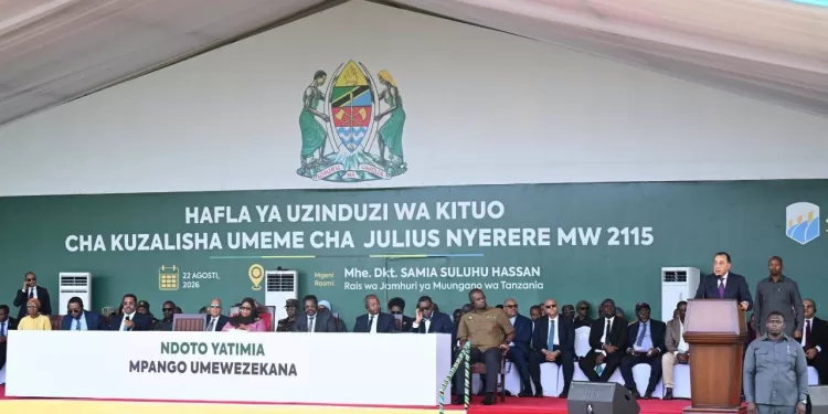 Madbouli : « Le rêve tanzanien devenu réalité grâce à la volonté et à l’expertise » 2 - Le Progrès Egyptien Madbouli : « Le rêve tanzanien devenu réalité grâce à la volonté et à l’expertise » 1 - Le Progrès Egyptien