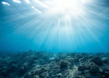 Ressources en eau : L’oxygène diminue à des niveaux alarmants