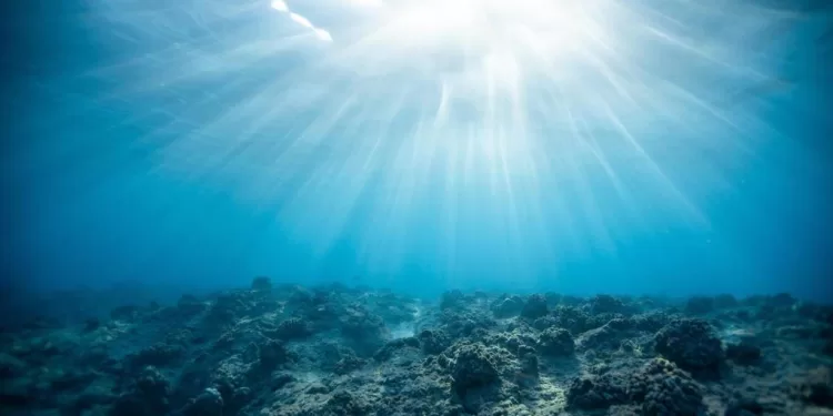 Ressources en eau : L'oxygène diminue à des niveaux alarmants 2 - Le Progrès Egyptien Ressources en eau : L'oxygène diminue à des niveaux alarmants 1 - Le Progrès Egyptien