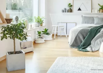 Chambre : Des plantes pour un meilleur sommeil