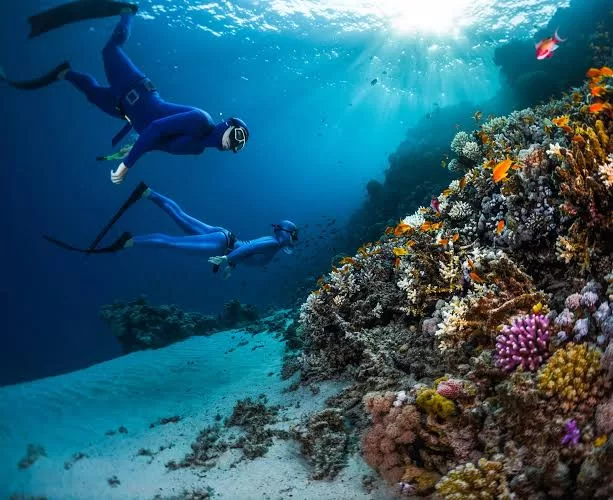 L’Égypte, terre de richesses 9 - Le Progrès Egyptien