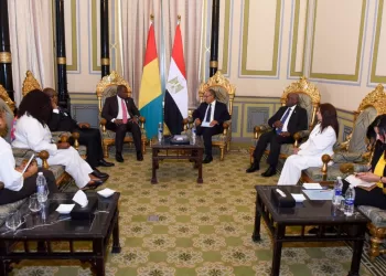 Egypte-Guinée : Discussion du renforcement de la coopération économique et du développement
