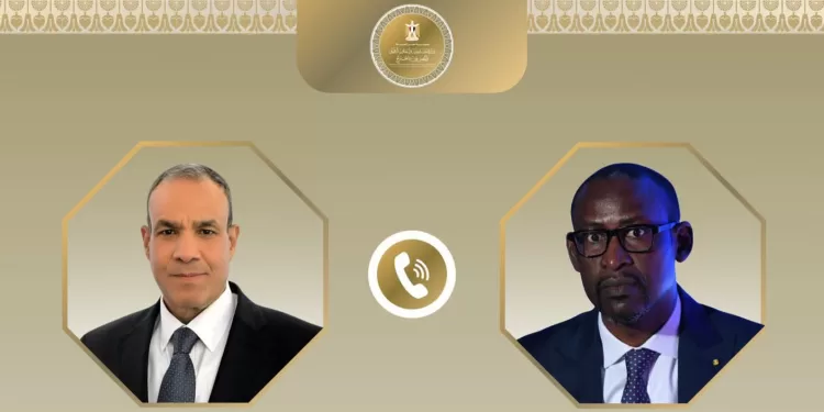 L'Égypte et le Mali cherchent à porter leurs relations vers de plus larges horizons 1 - Le Progrès Egyptien