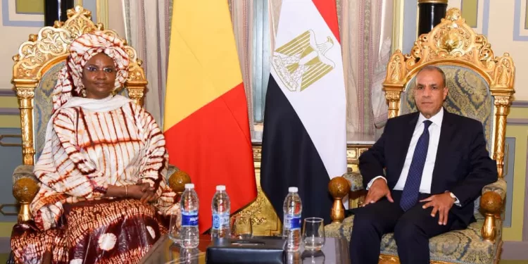 Le ministre des AE s’entretient avec la ministre malienne de l’Entrepreneuriat et de la Formation technique 2 - Le Progrès Egyptien Le ministre des AE s’entretient avec la ministre malienne de l’Entrepreneuriat et de la Formation technique 1 - Le Progrès Egyptien