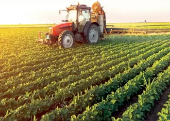 L’Égypte réussit à étendre sa superficie agricole à un niveau sans précédent