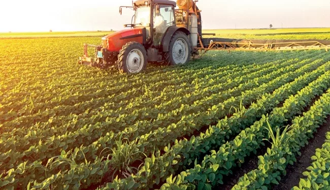 L'Égypte réussit à étendre sa superficie agricole à un niveau sans précédent 2 - Le Progrès Egyptien L'Égypte réussit à étendre sa superficie agricole à un niveau sans précédent 1 - Le Progrès Egyptien