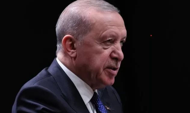 Turquie : Erdogan briguera un nouveau mandat lors d'une élection anticipée, affirme un conseiller 1 - Le Progrès Egyptien