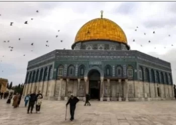 L’Égypte condamne fermement l’incursion de colons israéliens dans la mosquée Al-Aqsa 5 - Le Progrès Egyptien L’Égypte condamne fermement l’incursion de colons israéliens dans la mosquée Al-Aqsa