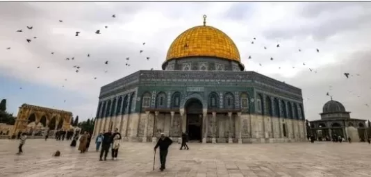 L’Égypte condamne fermement l’incursion de colons israéliens dans la mosquée Al-Aqsa 2 - Le Progrès Egyptien L’Égypte condamne fermement l’incursion de colons israéliens dans la mosquée Al-Aqsa 1 - Le Progrès Egyptien