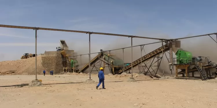 Nouvelle-Vallée : Transformer les ressources en moteurs d’investissement 1 - Le Progrès Egyptien