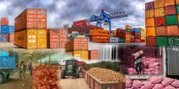 Industrie agro-alimentaire: Croissance des exportations