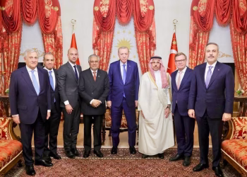 Istanbul : Le ministre des AE reçu par le président turc 3 - Le Progrès Egyptien Istanbul : Le ministre des AE reçu par le président turc