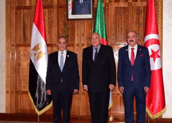 Communiqué égypto-algéro-tunisien sur la Libye 3 - Le Progrès Egyptien Communiqué égypto-algéro-tunisien sur la Libye