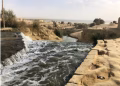 Un nouvel oiseau apparaît à  Wadi Al Rayan