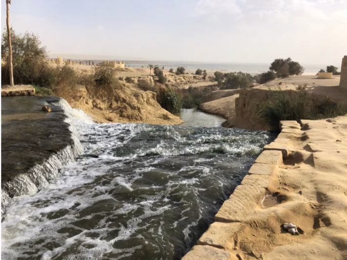 Le Progrès Egyptien 48 - Le Progrès Egyptien