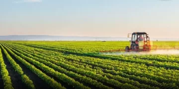 Augmentation de la superficie agricole à environ 17,5 millions de feddans