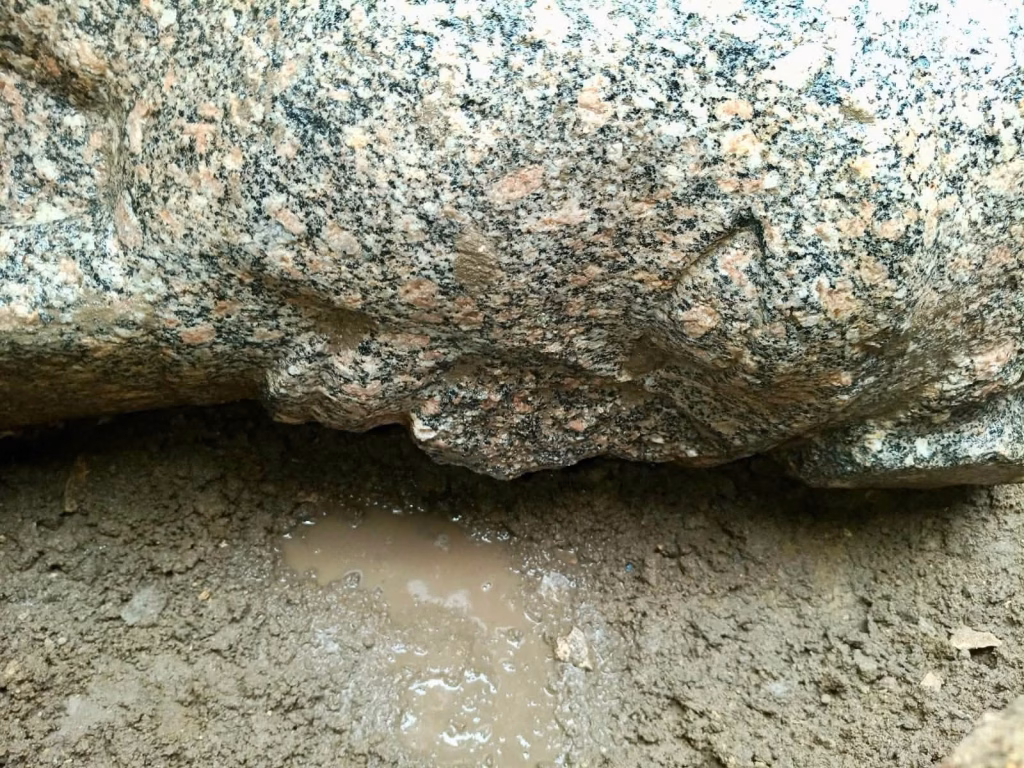 Delta du Nil : Une tête colossale de Ramsès II, un ajout archéologique 4 - Le Progrès Egyptien Delta du Nil : Une tête colossale de Ramsès II, un ajout archéologique 3 - Le Progrès Egyptien