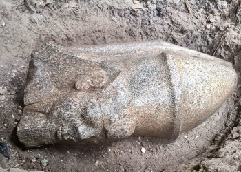 Delta du Nil : Une tête colossale de Ramsès II, un ajout archéologique
